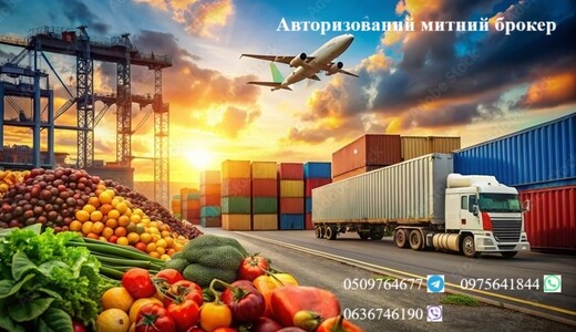 Авторизований митний брокер, митне оформлення: Авто, особисти речі, Т1, EORI, імпорт, експорт