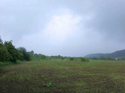 Продам ділянка під житлову забудову Галицький, Залуква, урочище Малинник №1