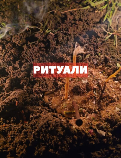 Приворот в Варшаве, магия бизнеса в Варшаве, личный прием в Варшаве, чёрное венчание, отворот