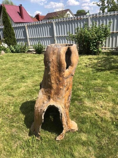 Ландшафт из корня дерева.