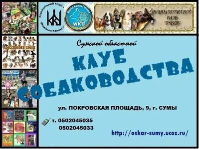 Приглашаем в клуб собаководства