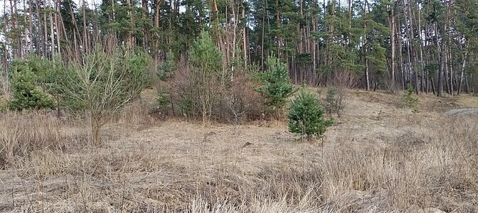 Продам участок в Сумах