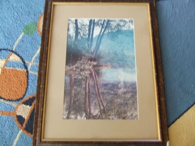 Репродукция в раме под стеклом раз. 60 х 45 см. 2000гг.