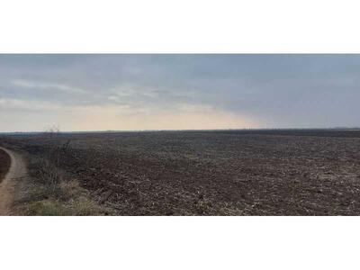 Продам землю сільськогосподарського призначення Нововоронцовський, Нововоскресенське, Нова