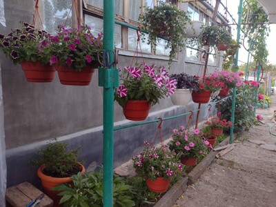Продам шикарний великий будинок в с. Буялик.