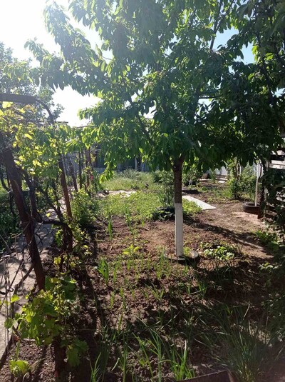 Світле Старі дачі, зимовий будинок 3 кімн. із зручностями. Ділянка 6 с., гостьовий будиночок.