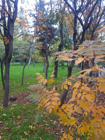 Услуги мага.Чищу от негатива.Восстанавливаю энергетику.