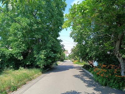 Офицерская: продам участок 9 соток в уютном районе недалеко от моря!