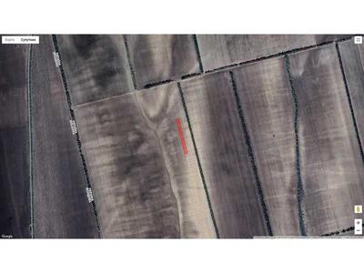 Продам землю сільськогосподарського призначення Болградський, Виноградівка, Нова