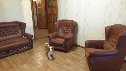 Сдам долгосрочно 2-к квартиру Одесса, Хаджибейский, Бугаевская, 46/2