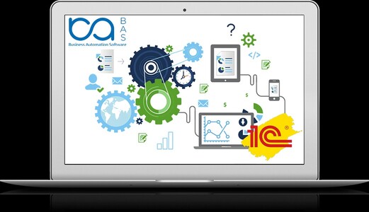 Професійне впровадження та супровід BAS / 1С