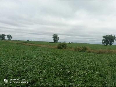Продам землю сільськогосподарського призначення Волочиський, Писарівка, Нова