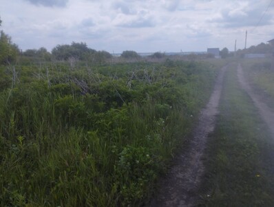 Земельна ділянка в Книжківцях