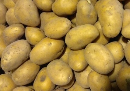 Картофель Киранда, Придеснянский ранний элита