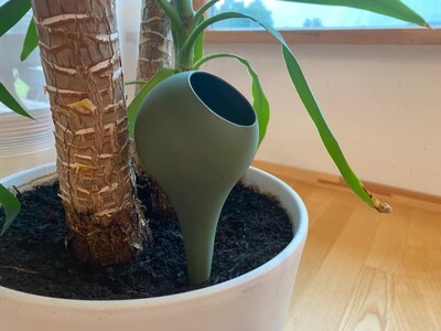 Модельований глобус для поливу рослин