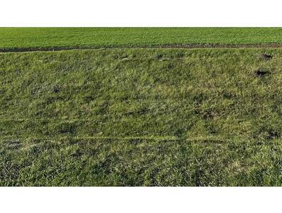 Продам землю сільськогосподарського призначення Нікопольський, Лошкаровка, нова