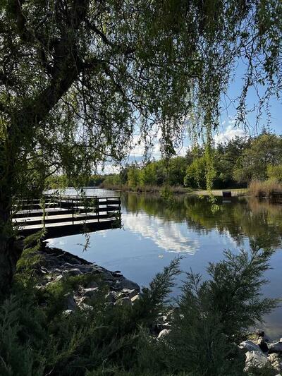 Продам ділянка під житлову забудову Новомосковський, Піщанка, Садовая