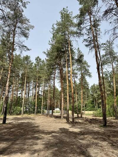 Продам ділянка під житлову забудову Новомосковський, Піщанка, Садовая