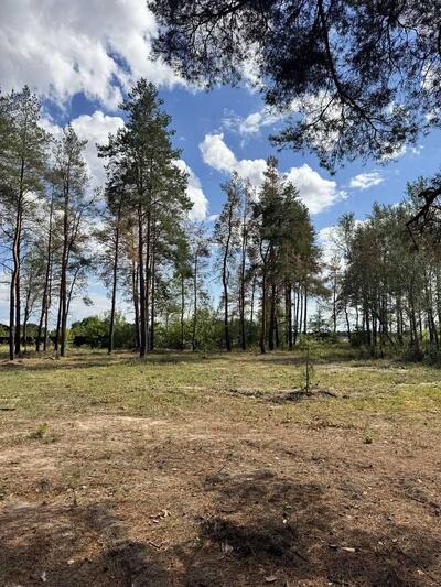 Продам ділянка під житлову забудову Новомосковський, Піщанка, Зеленая