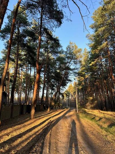 Продам ділянка під житлову забудову Новомосковський, Піщанка, Зеленая