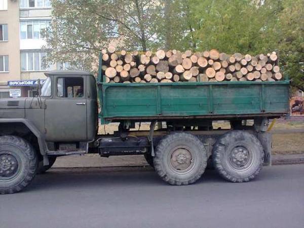 Дрова буковi граб дуб колотi Дубляни Виники Малехив Львів область, Львів на aviso.ua