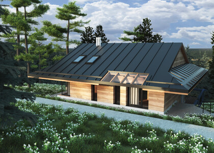 Продажа котеджу з ремонтом під ключ. Доходная недвижимость