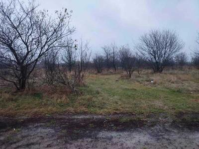 Продам землю сільськогосподарського призначення Жовківський, Нова Кам`янка, Садова, 25