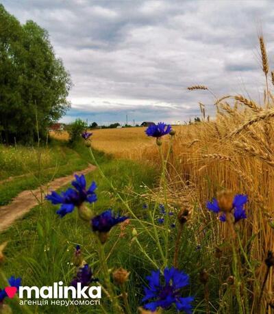 Продам землю сільськогосподарського призначення Сколівський, Довжки, Львівська