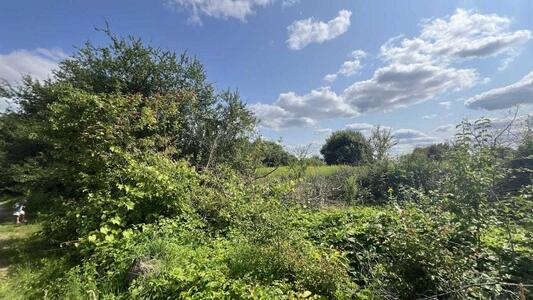 Продам землю сільськогосподарського призначення Пустомитівський, Жирівка, Кишова