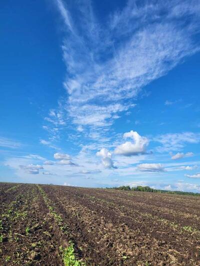 Продам ділянка під житлову забудову Пустомитівський, Гаї, Глуховичі