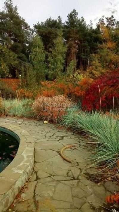 Продажа  дома  в лесу