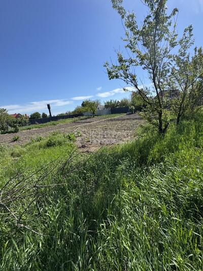 ДІЛЯНКИ МРІЇ Велика Данилівка