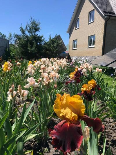 Продажа дом Мерефа (Високий) новобудова Центр