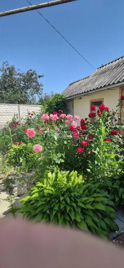 Продаж будинку у Пісочині