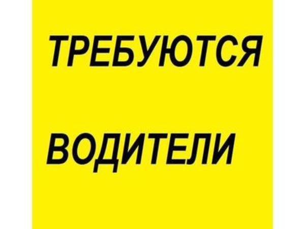 Водители кат. Д на маршруты г.Киева, Житомир на aviso.ua