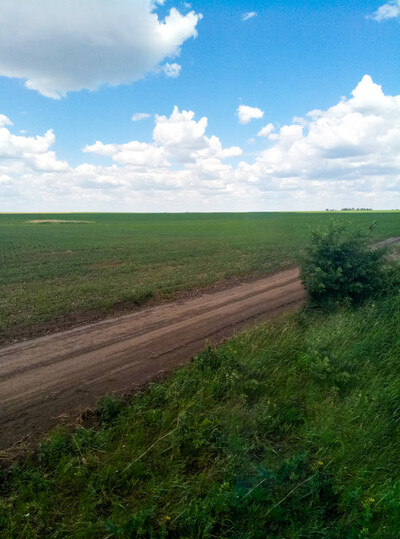Продам два земельних пая 14,5 Га в Ружинському районі Житомирської області
