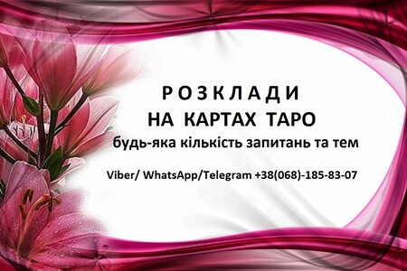 Житомир передбачення на картах, консультація та допомога