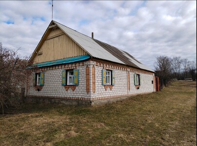 Продається будинок у с. Залізня