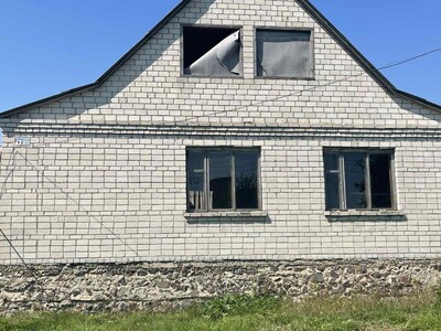 Продаються два будинки з великою ділянкою у селі Попільня