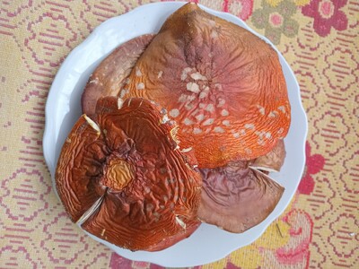 Мухомор червоний, сушений 2 сорту