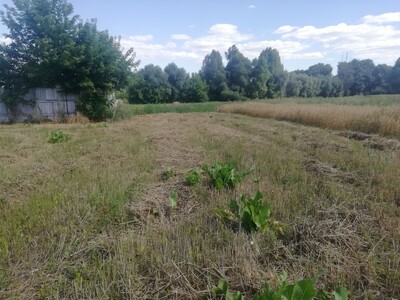 Продам 40 соток.Приватизована.