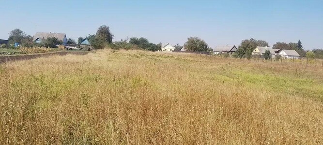 Продам земельну ділянку в Глибочиці.