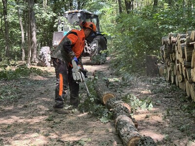 Вальщик лісу, різноробочий, лісоруб-пильщик