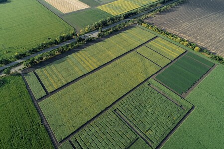 ЗЕМЛЕВПОРЯДНИК (Житомир)