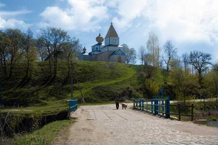 Продам 3-к будинок Андрушівський, Нехворощ, Центральна