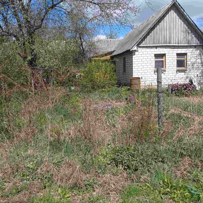 Продаеться дім з земельною ділянкою