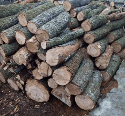 Метрові дрова | Купуйте дрова торфобрикет Ківерці