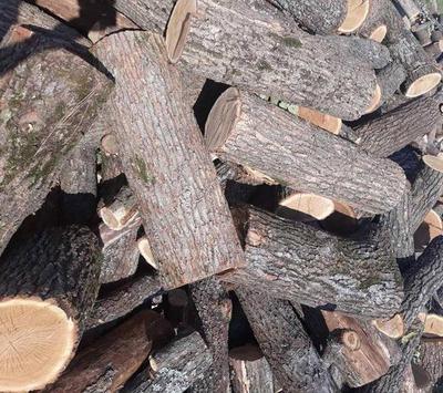 Купуйте метрові дрова недорого Луцьк Ківерці