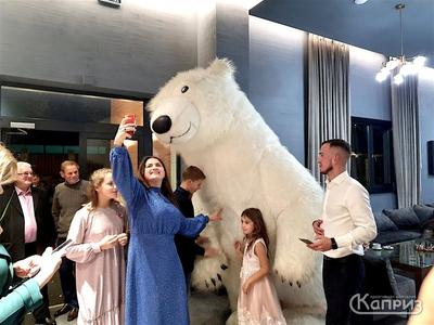 Білий Ведмідь, Привітання - сюрприз, зустріч з пологового будинку