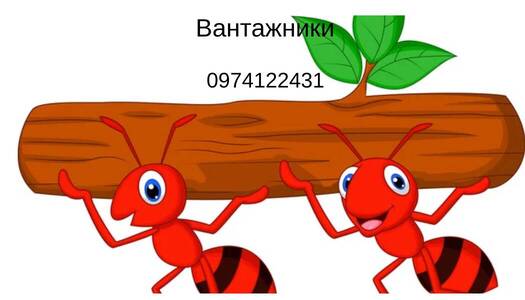 Послуги вантажників  Рівне.Перевезення вантажні по області та Рівне.